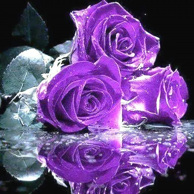 

Diamond Painting Purple Flower 5d Diy Mosaic Full Square Round Drill Diamant Of Rhinestone Daimond Embroidery Pictures