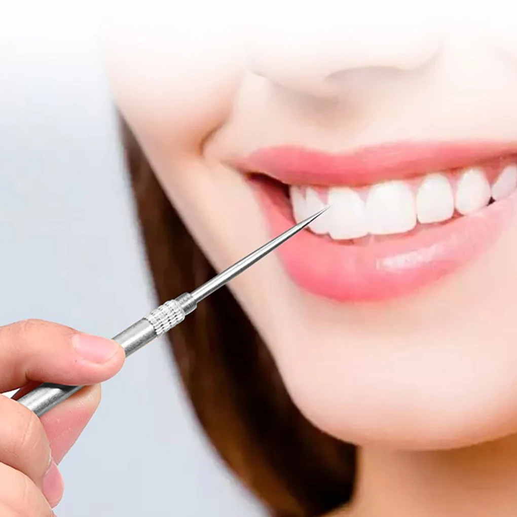 

Portable Toothpick Tooth Cleaning Fruit Fork Metal Travel Toothpick Accessory with Holder