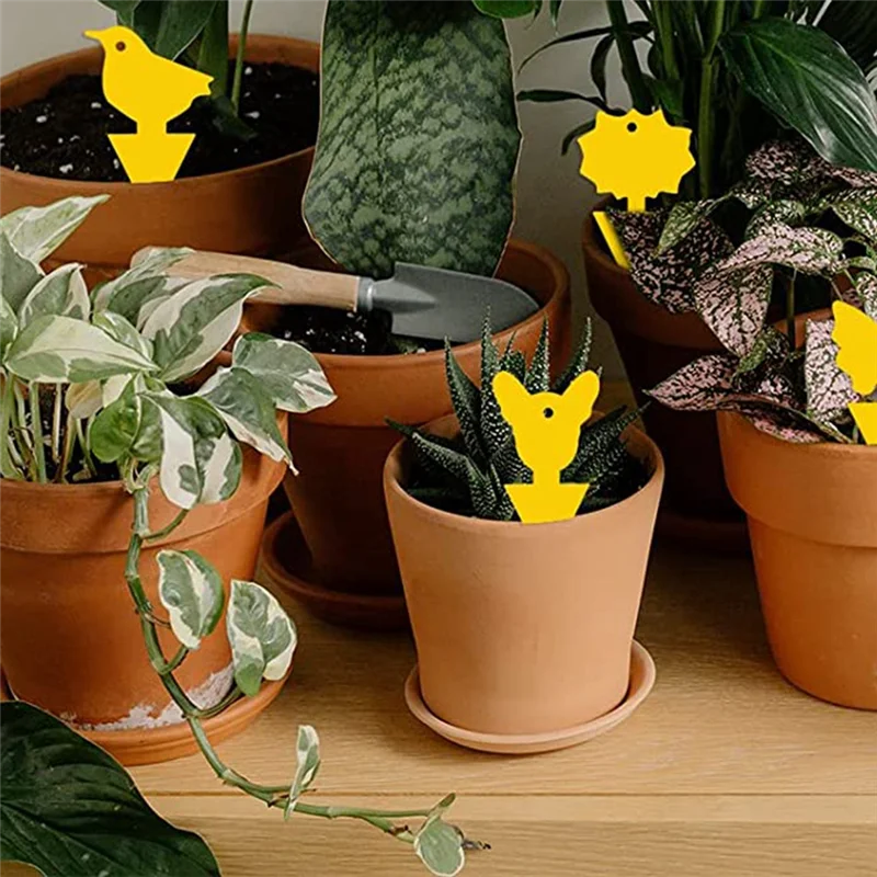 Клейкие ловушки для мух и фруктов Ловушки насекомых дома улицы 24 шт.