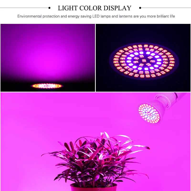 Рисунок 4 - Лампа для гидропонного роста