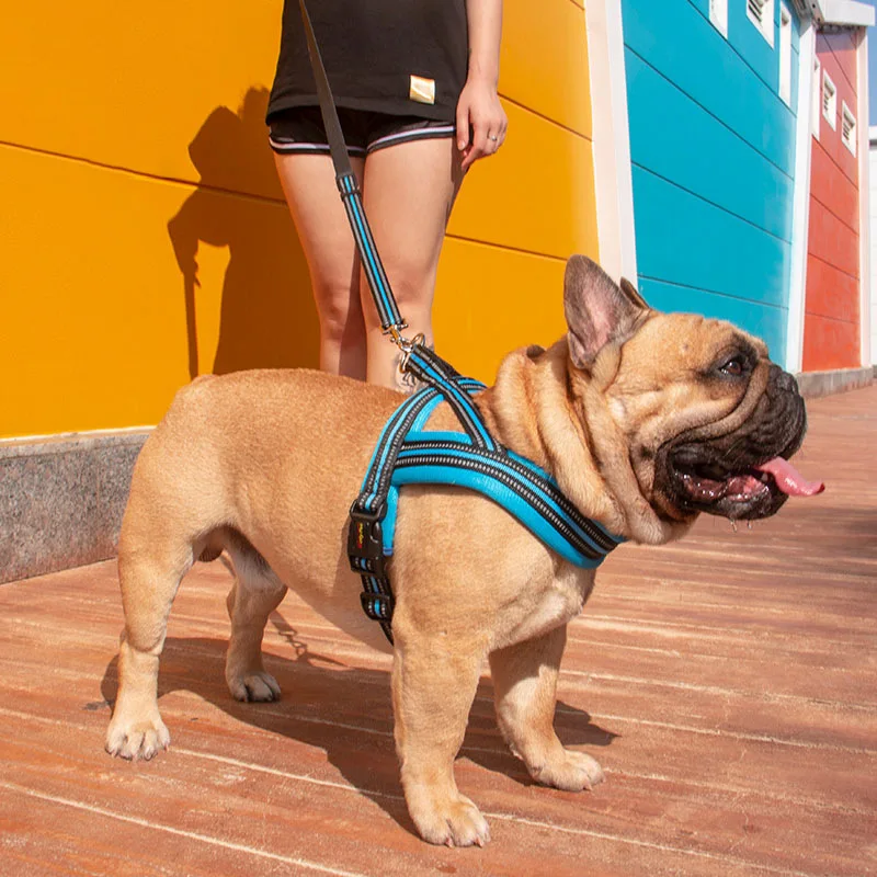 

Светоотражающий дышащий поводок для собак, жилет для прогулок с маленькими собаками