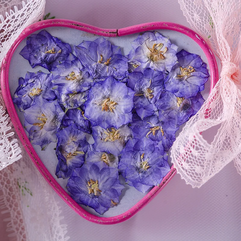 

120pcs/500pcs Dried Flower Campanula Flower Pressed Flower Scrapbooking DIY Resin Jewelry Crafts Nails Decor Candle Soap Making