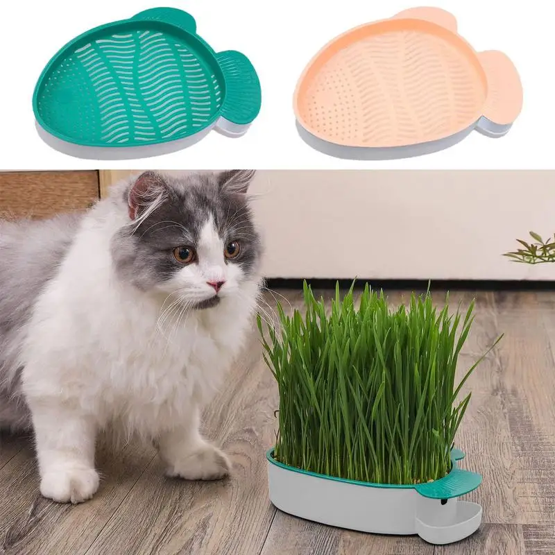 

Cat Grass Pot Soilless Cat Grass Growing Kit With Mesh Tray Reusable Planting Hydroponic Box For Cats Grass Wheat Grass Growing