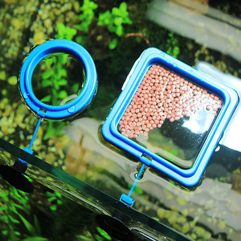 

Fish Tank Feeding Circle Floating Sucker-type Fish Food Floating Feeding Circle Tray Feeder Square Round Plastic Material