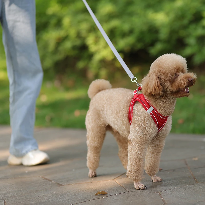 

1pc Dog Harness Leash Set for Small Dogs Adjustable Puppy Cat Harness Vest French Bulldog Chihuahua Pug Lead Leash Pet Supplies