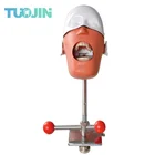 Стоматологический мулятор для шагового ходьбы, моделирование зубов из смолы, стоматология, имплантат, товары для обучения