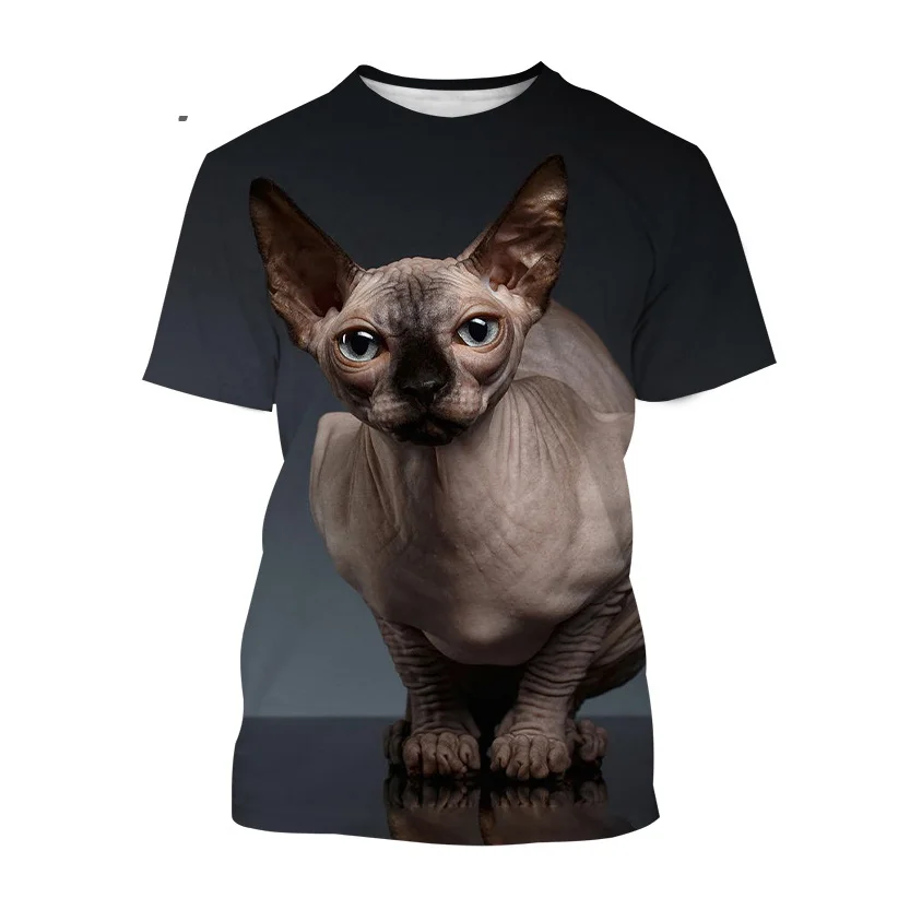 Принт на футболку сфинкс. Футболка кот сфинкс. Футболка кот сфинкс. Ткань с принтом сфинксов. Футболка с сфинксом женская.
