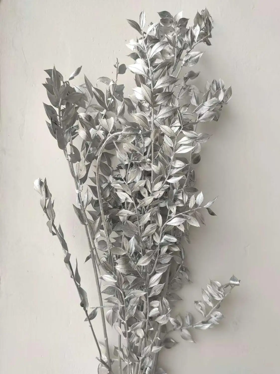 Натуральные настоящие консервированные насыщенные листья ветка рускуса 45-50 см