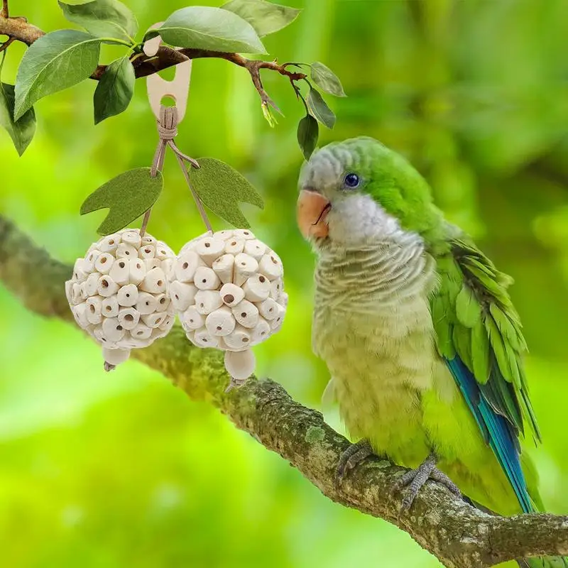

Bird Chewing Toys Parrot Grass Ball Toys For Parakeet Cockatoos Bird Playing Toys Parrots Hanging Chewers Birds Cage Fun