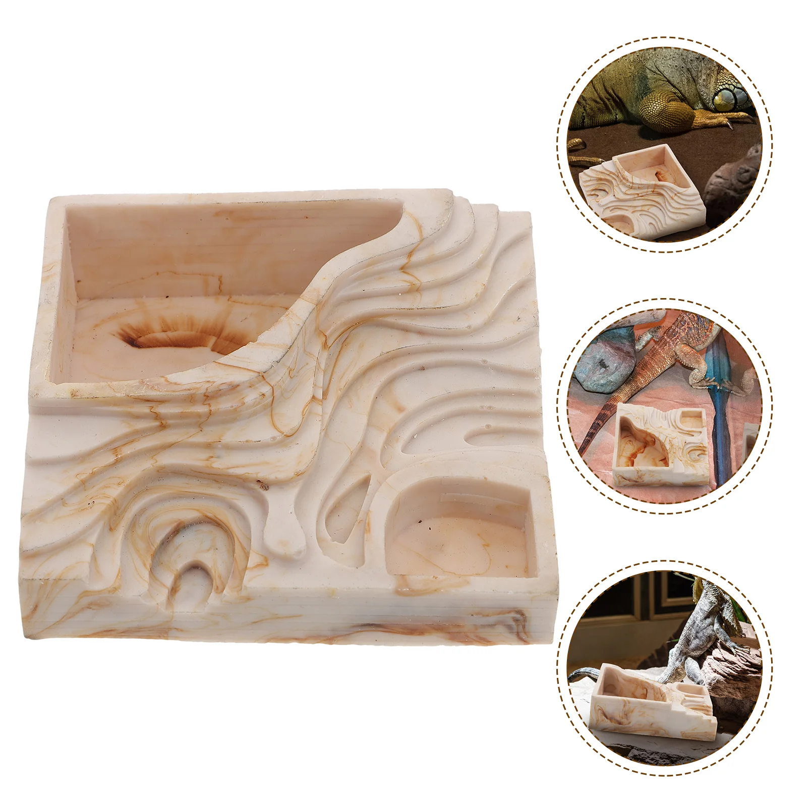 

Household Reptile Food Serving Tray Reptiles Food Feeding Container Feeding Dish