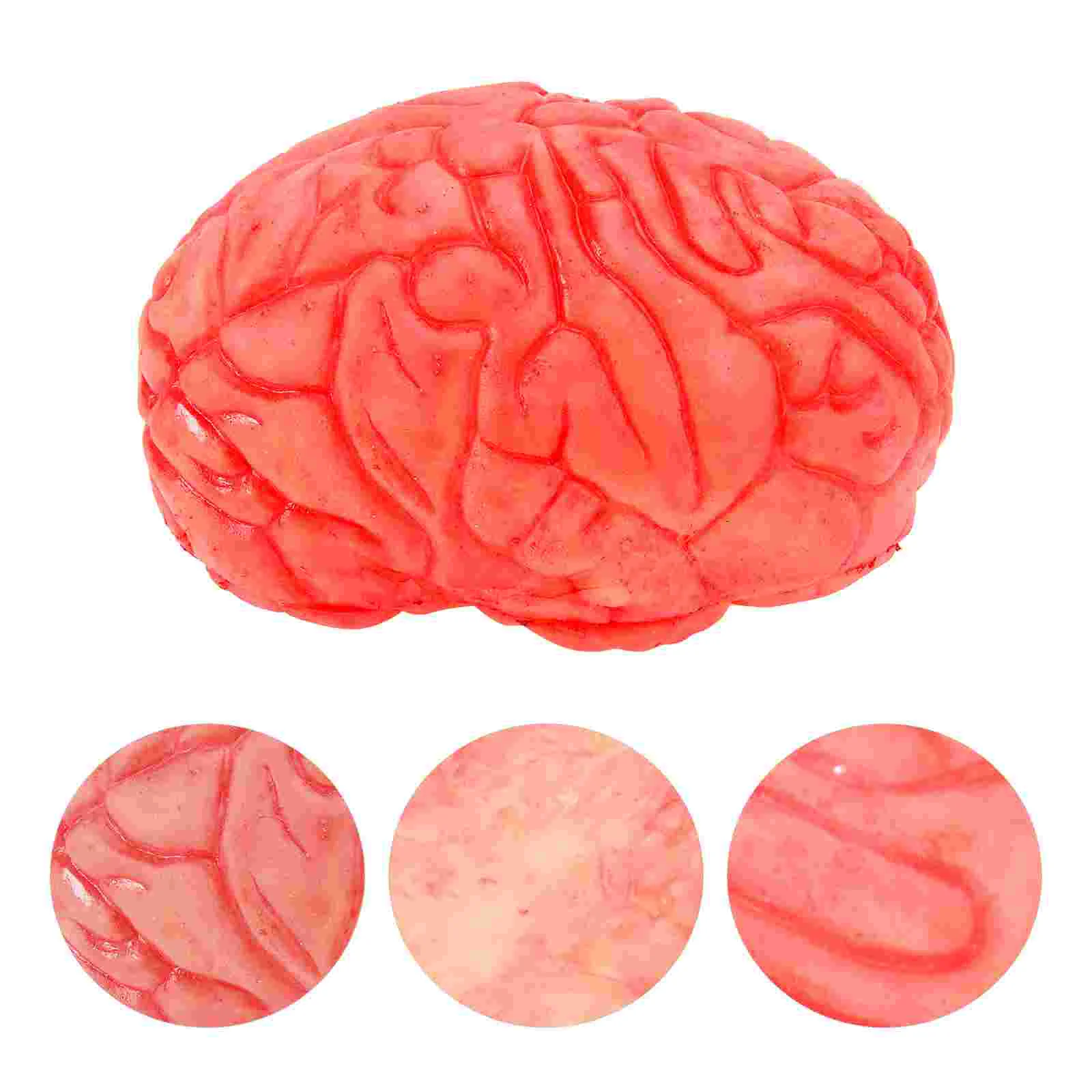 

Brain Body Fake Human Prop Partsbrains Dead Propsdecoration Party House Haunted Realistic Prank Severed Head Toytoys Part Scary