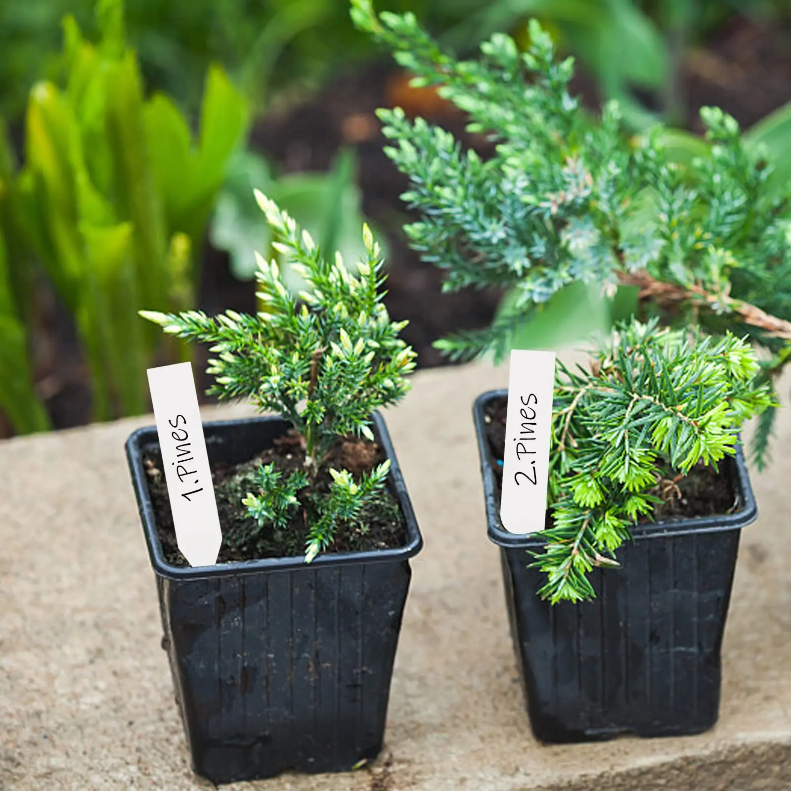 100 шт. пластиковые маркеры для цветочных Горшков