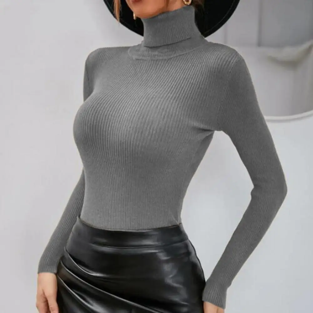 

Pure Color Stretchy Pullover Casual All Match Women Sweater Autumn Winter Casual Basic Sweater Comfortable High Collar Lady Top