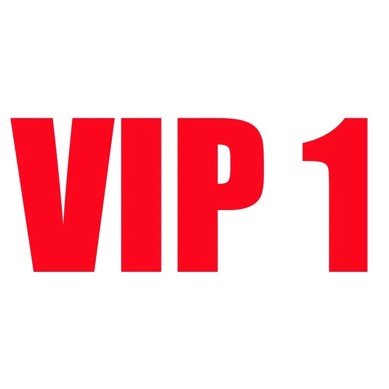 

VIP Fashion brand bag
