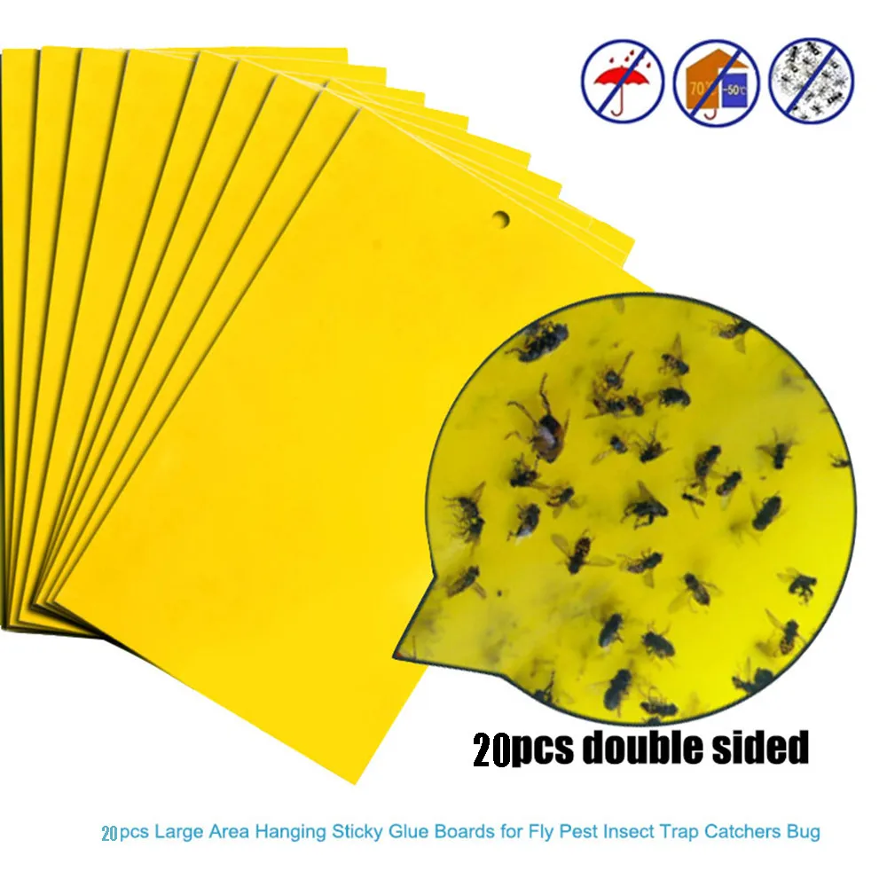 

10pcs Strong Flies Sticky Traps Bugs Sticky Catching Aphid Insects Pest Killer Outdoor Fly Board Bait Flies Double Traps