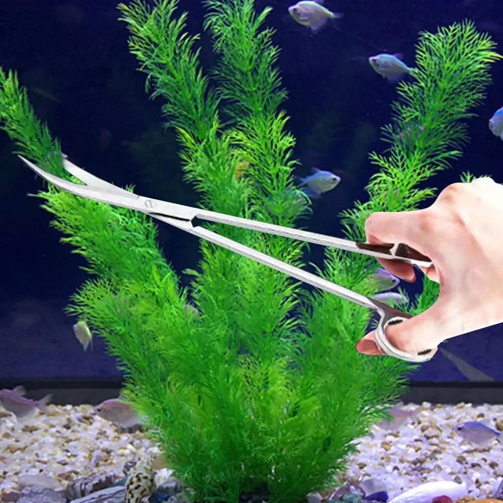 

3pcs Fish Tank Aquatic Plants Long Tweezers Scissors Aquarium Tank Tools Kit Aquascaping Stainless Steel Maintenance Tool