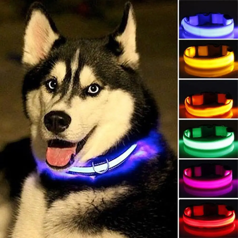 

Nylon LED Pet Dog Collar Night Safety Flashing Glow In The Dark Dog Leash Dog Luminous Fluorescent Collar Pet Accessories Supply