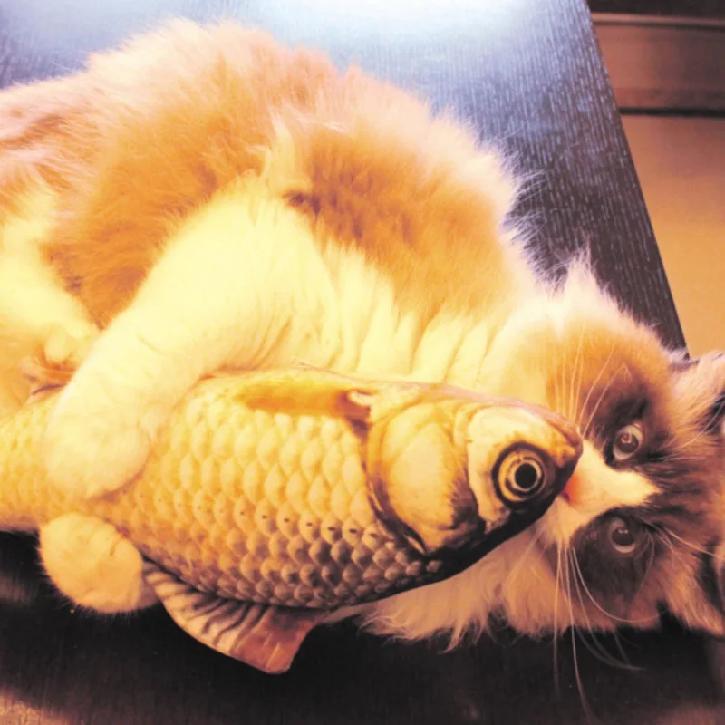 

Simulation Crucian Carp Grass Fish Grass Carp Salted Fish Plush Toy Cute Cartoon Cat Plush Pillow Toy Gift