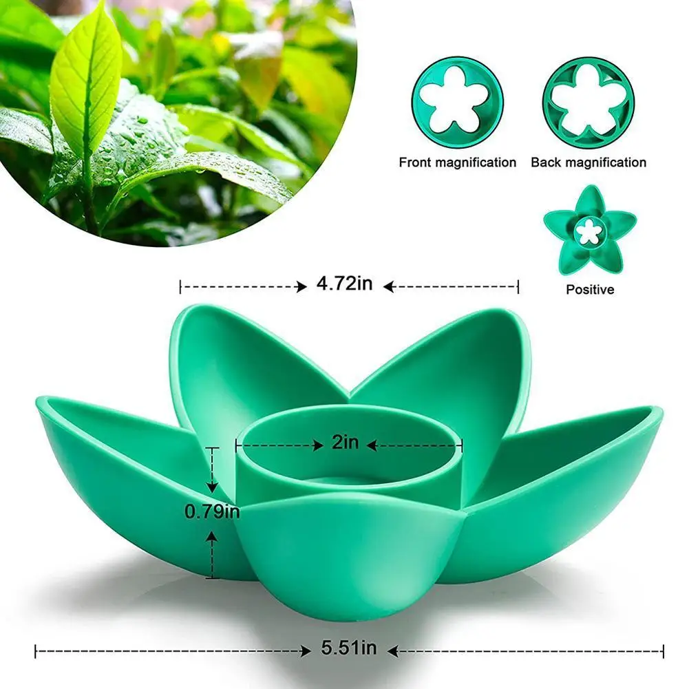 

Avocado Seed Growing Kit Avocado Seed Starter Tray With Plant Holder Garden Gifts