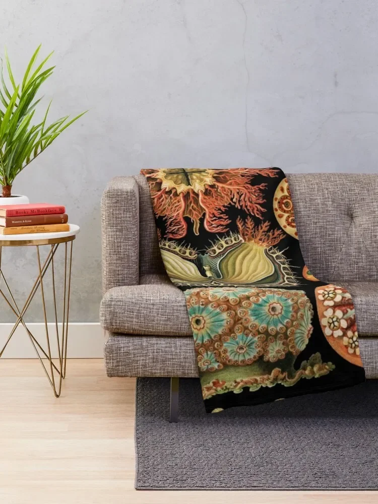 Асцитацея-морские сквирты бросать одеяло тяжелые для сна пушистые одеяла