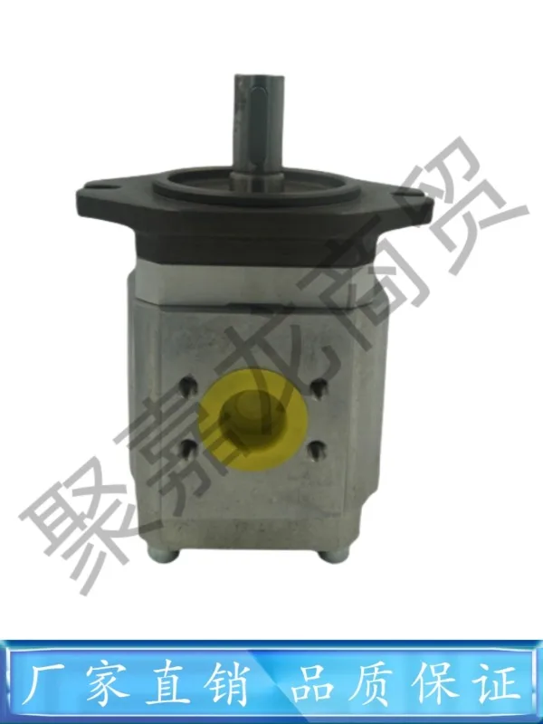 Немецкий Шестеренчатый насос ECKERLE EIPC3-040/050/064/RA23-10 в масляном насосе для литья под