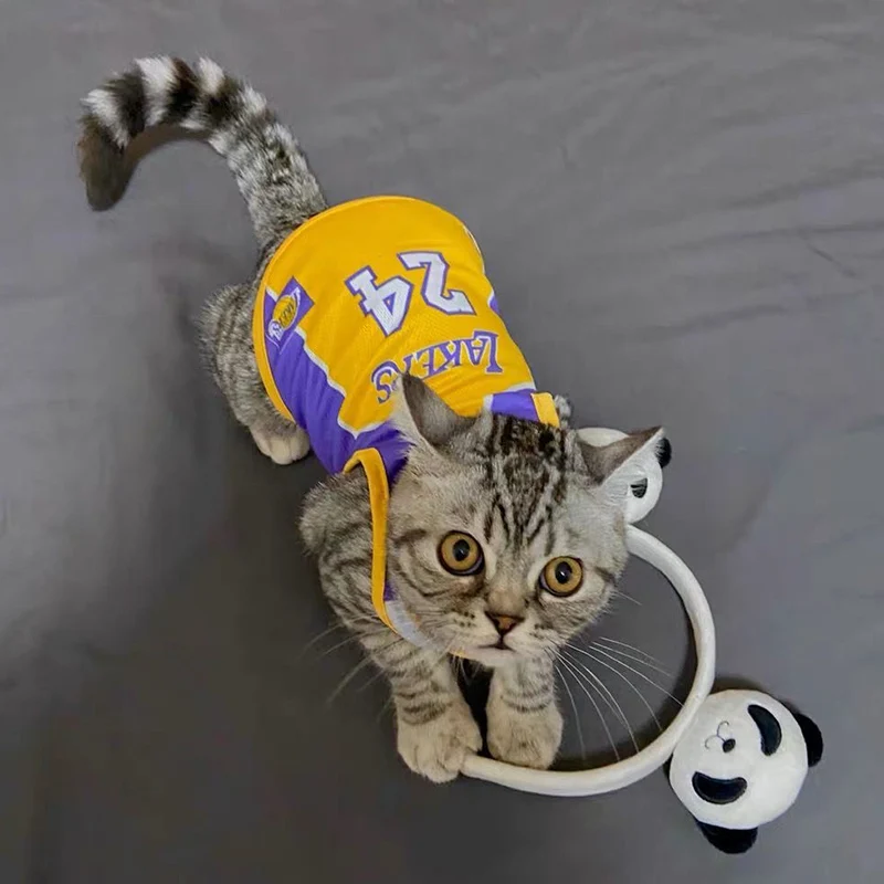 

Mesh Breathable Sphynx Cat Sports Vest Summer Pet Clothes for Cats Gotas Katten Kedi Basketball Soccer Shirts mascotas Clothing