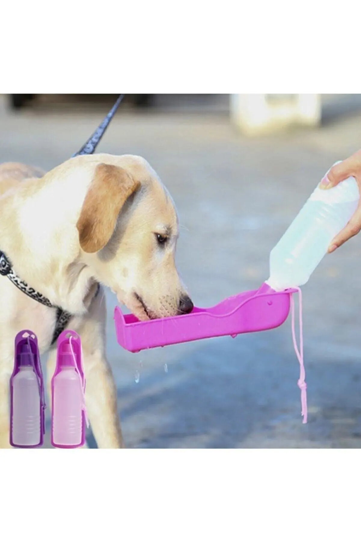 

Pet Travel Suluğu 500 ml