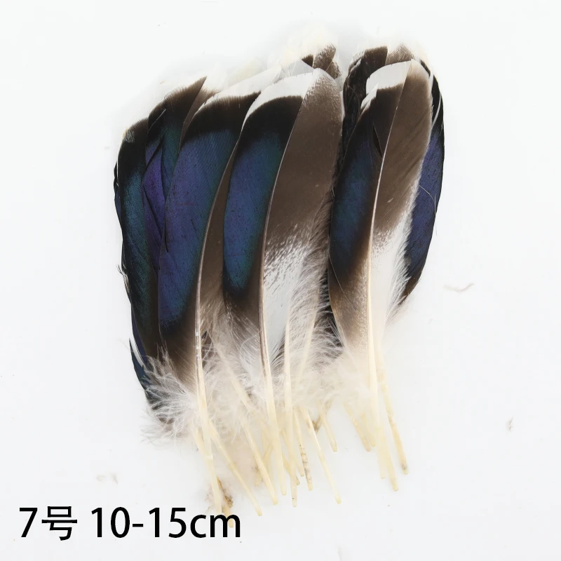 50 шт. смешанная упаковка перо фазана павлина орел маленький шлейф для поделок