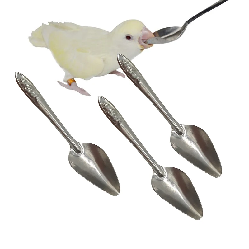 

1-5 Pcs Pcs Bird Feeding Spoon Portable Aluminum Bird Feeding Supplies Baby Bird Feeding SpoonBird Tableware Feed Spoon
