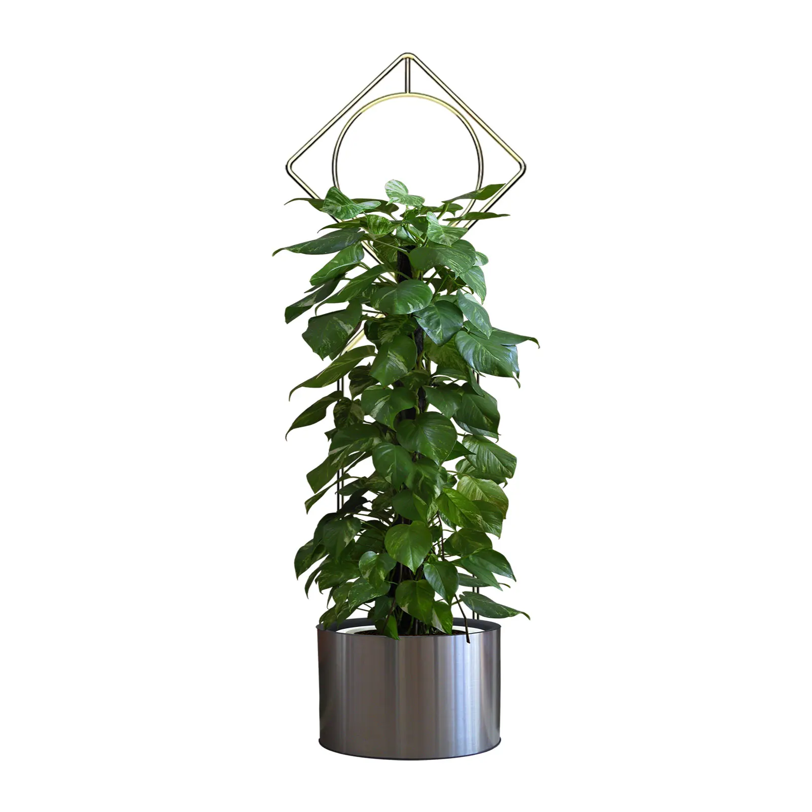 

Small Trellis For Potted Plants Metal Garden Climbing Trellis Indoor Plant Support Frame Metal Potho Climbing Stake Rack Rust