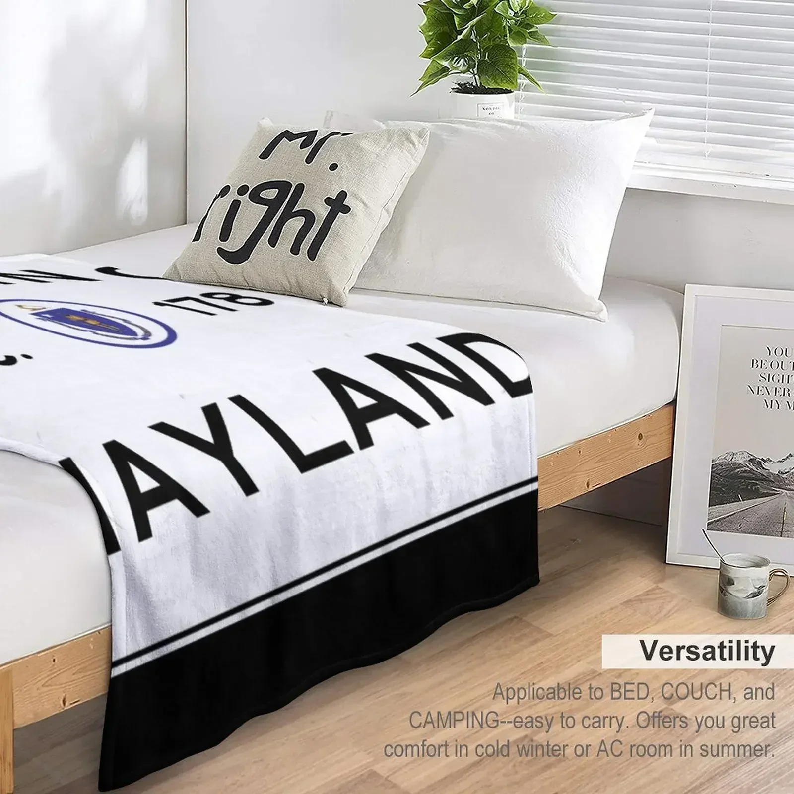 Вход в Wayland Massachusetts — родственное чувство Массачусетс одеяло с дорожным знаком