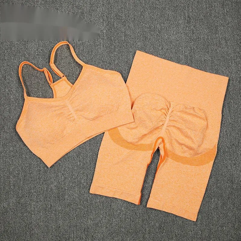 

New 2Pcs Women Sport Suit Gym Set Sexy Bra Seamless Shorts Workout Running Clothing Gym Wear Athletic Yoga Set