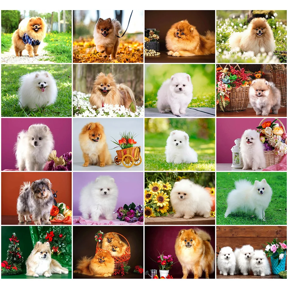 

DIY Diamond Embroidery 5D Dog Full Square Diamond Painting Animal Home Decoration Mosaic New Arrival Handmade