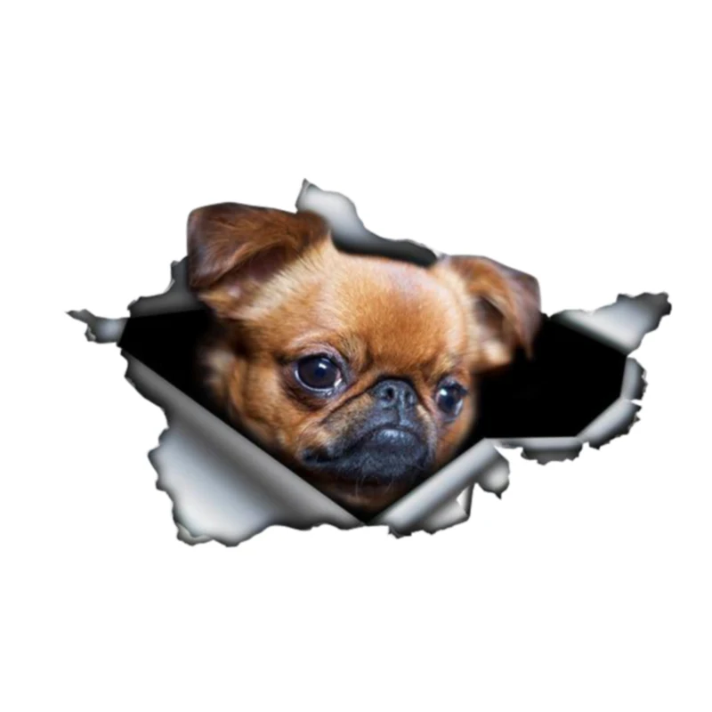 

Z202# Car Sticker Brussels Griffon Dog Pet Animal Waterproof Vinyl Decal Car Accessories Pegatinas Para Coche DIY Car Styling