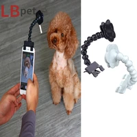 pet suppliesdog selfie stickcat photography toolspet interactive toysfocus on trainingdog accessoriescat supplies