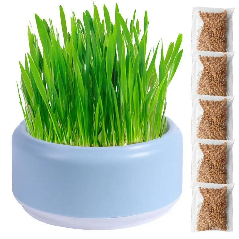 

Cat Grass Planter New Pet Cat Sprout Dish Growing Pot Hydroponic Plant Cat Grass Germination Digestion Starters Dish Greenhouse