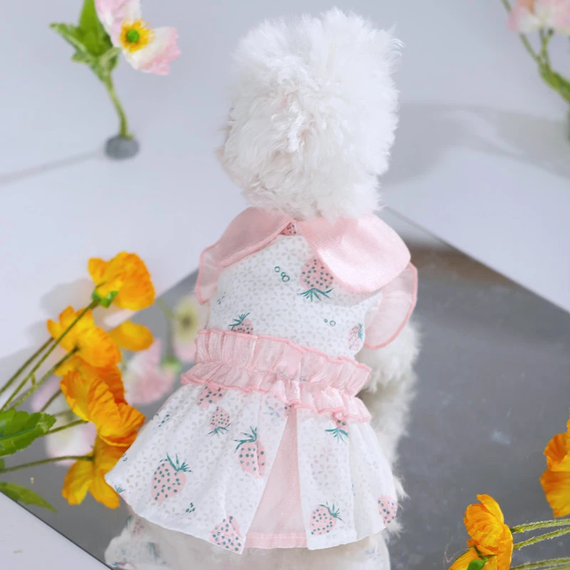 

Юбка с принтом клубники, одежда для домашних животных, платье принцессы для собак, одежда для собак, милый костюм Французского бульдога, мил...