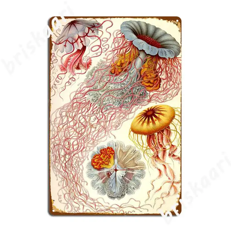 

Металлический плакат Jellyfish, Эрнст, Haeckel, металлическая табличка, кинотеатр, гараж, создание стены, искусственный плакат