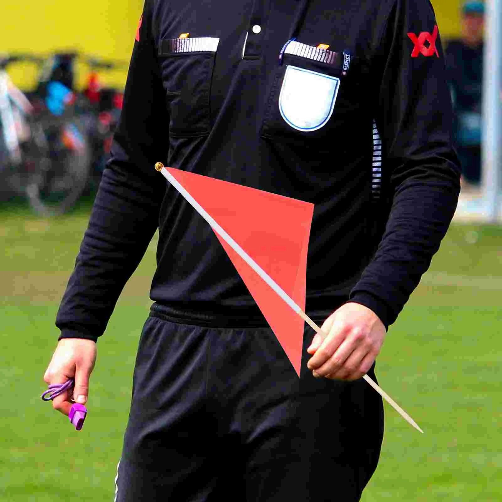 Рисунок 6 - флаги для газона