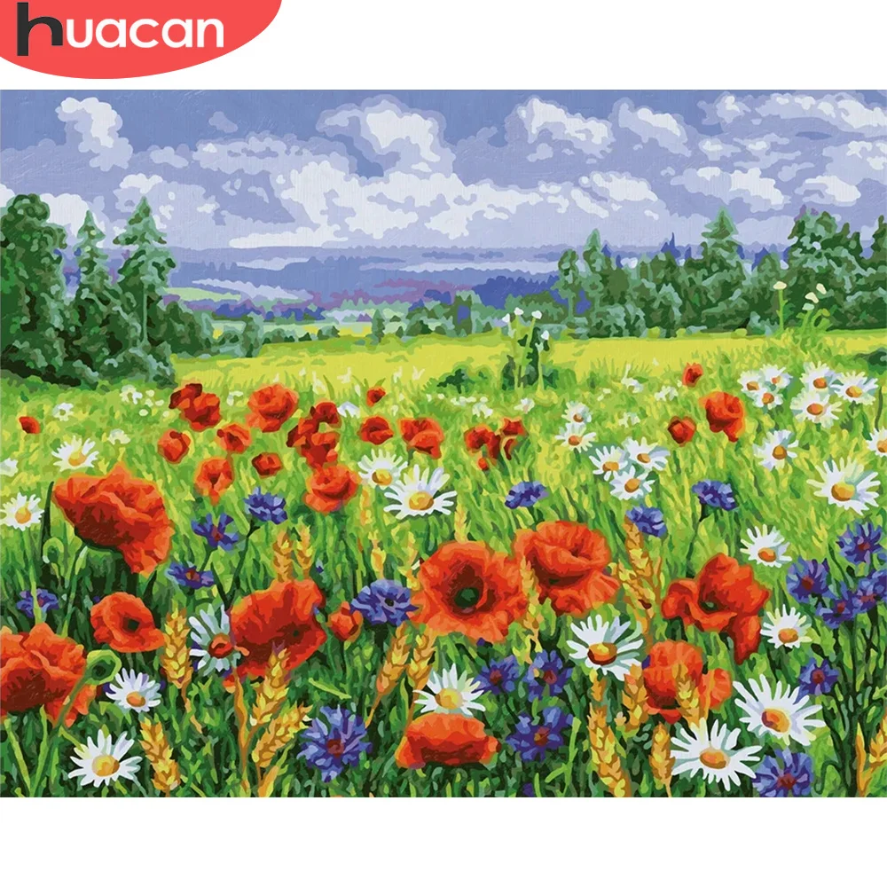 

HUACAN Oil Painting By Number Flower Poppy Wall Art Unique Gift DIY Frame Picture By Number Daisy Acrylic Canvas For Living Room
