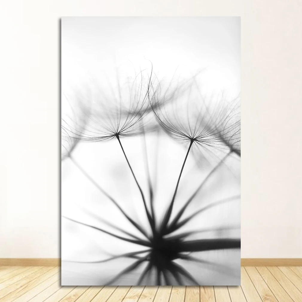 

Печать свежих картин на стену перо Одуванчик на холсте украшение для гостиной настенные картины плакаты черно-белые цветы