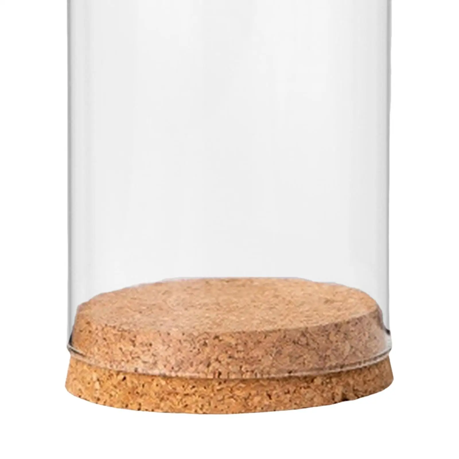 Cloche Bell Jar Дисплей Купол Чехол DIY Контейнер Орнамент Крышка для