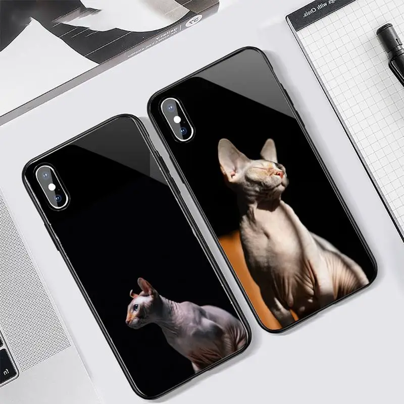 

sphynx cat cute animal Phone Case Tempered glass For iphone 11 12 13 PRO MAX mini 6 7 8 plus X XS XR