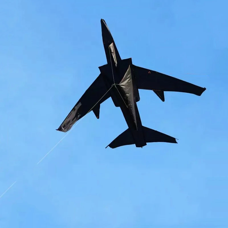 Бесплатная доставка большие воздушные змеи летающие самолеты для взрослых