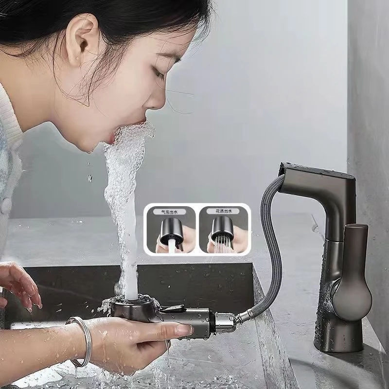 

Pull Out Lift Kitchen Faucet 360° Rotatable Bathroom Basin Faucet Stainless Steel Kitchen Sink Faucet with Pull Out Sprayer