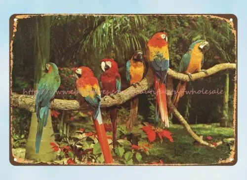 Попугаи Флориды попугаи джунгли возле Майами FL металлический жестяной знак