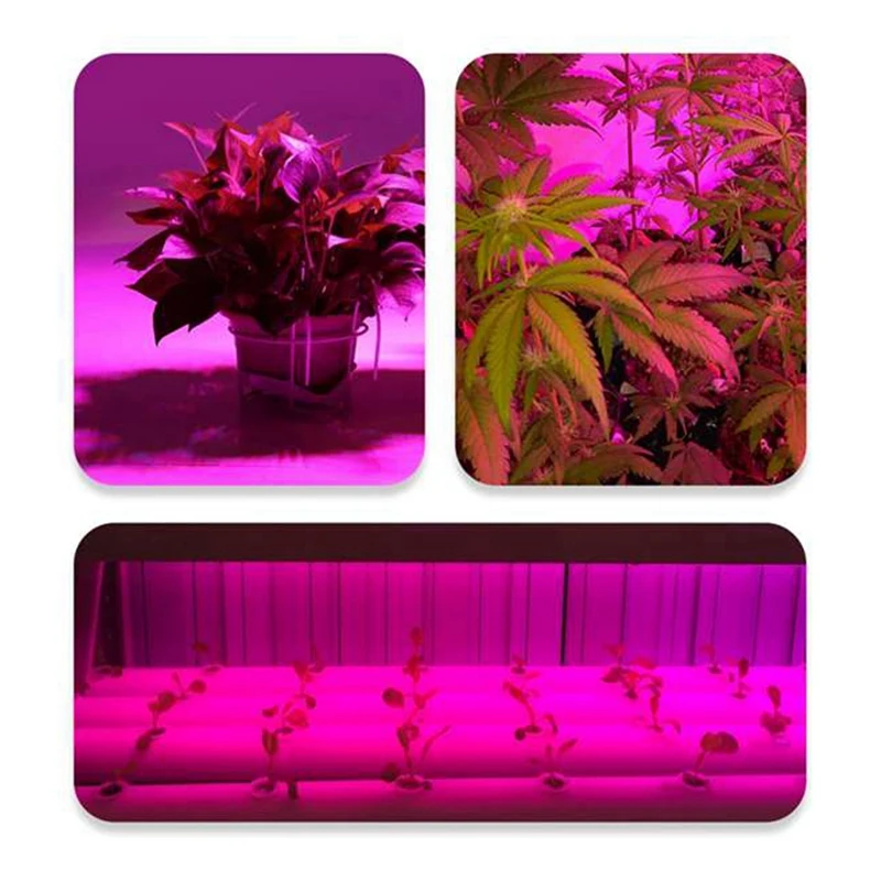 Акция! Светодиодный светильник фитолампа полного спектра для выращивания