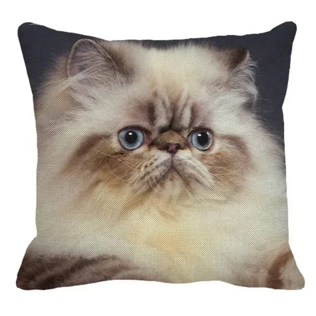 

Квадратная декоративная наволочка с персидским котом 45x45 см