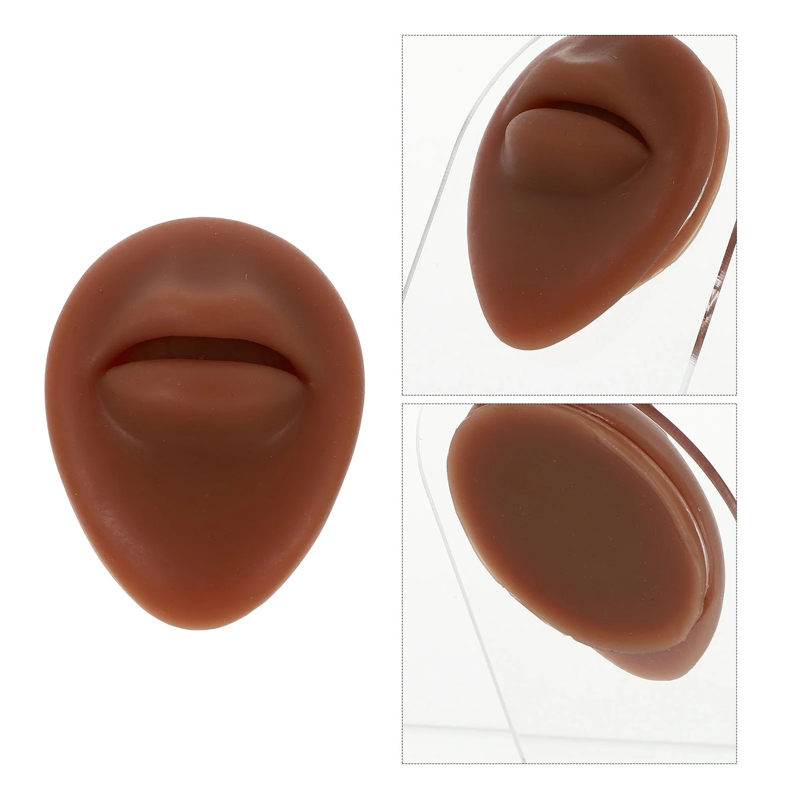 

1Pc Mouth Model Pierce Practice Prop Mouth Model Silicone Mouth Model for Practice Pierce