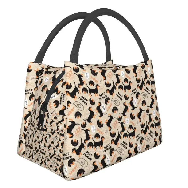 

Cute Dachshund Dog Pattern Insulated Lunch Bags for Women Dackel Teckel Thermal Cooler Food Lunch Box Outdoor Camping Travel
